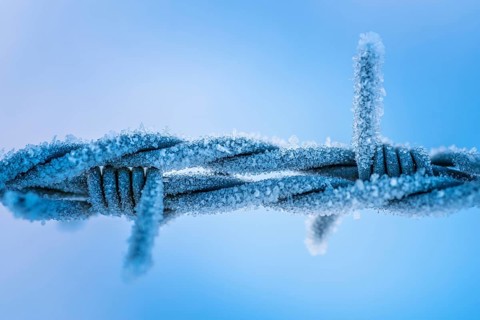 Frosted wire mesh fence in wintertime in blue colours. Frosted iron fence in wintertime in blue