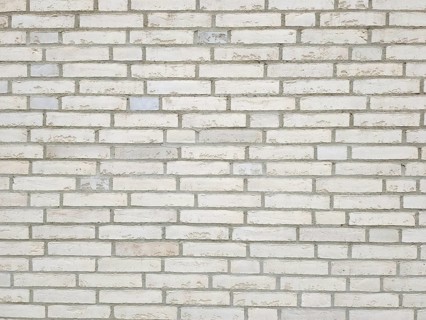 An image of a brick wall white background