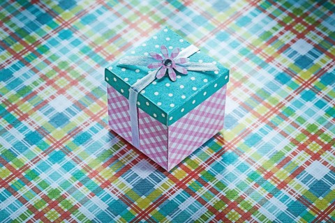 Wrapped gift box on checked fabric background celebrations concept