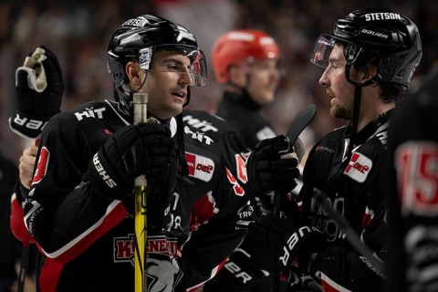 Laura Dick Cologne, LanxessArena, North Rhine-Westphalia, Maximilian Kammerer (Cologne Sharks, #9),