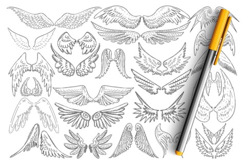 Bird wings patterns doodle set. Collection of hand drawn elegant wings of different birds in style