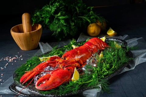 The cooked lobster on ice