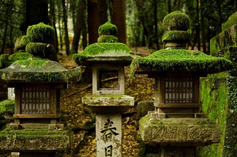 Typical japanese stone lanterns in Nara, Japan, Nara, Japan