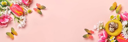 Frühlingsblumen, Wachteleier im Nest und Schmetterlinge auf rosa Hintergrund. Ostergruß-Banner