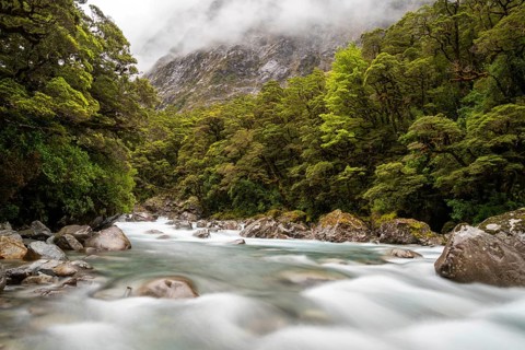 Mountainous Monkey creek flowing through impressive landscape next to Milford Sound highway, South