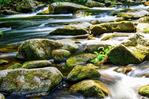 A view of the Bode riverbed in the Harz Mountains in glorious sunshine