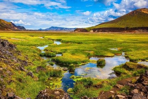 The picturesque valley in Landmannalaugar national park. Summer in Iceland. Green grass among the