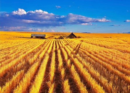 Solar autumn midday on fields of Montana