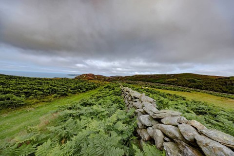 Hilly landscape with green meadows, bracken and stone wall, dry stone wall on the edge of Snowdonia
