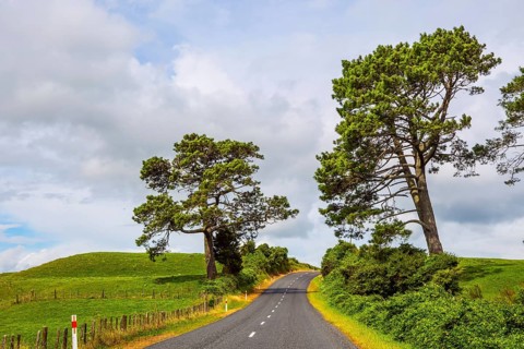 Fabulous faraway country. Road among the green fields of the North Island of New Zealand. Way to