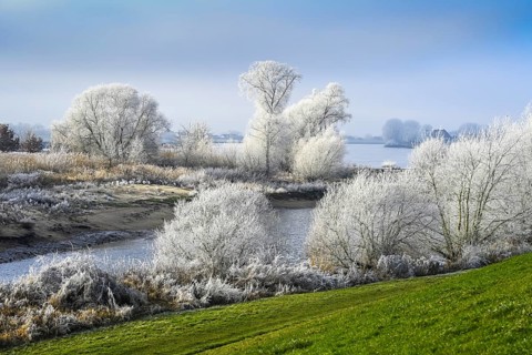 Zollenspieker nature reserve on the Elbe in Kirchwerder, Hamburg, Germany