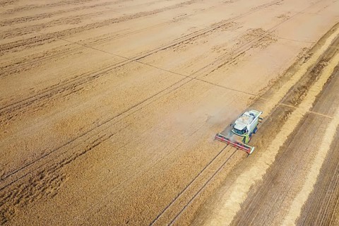 Combine harvester working on a wheat field. Combine harvester Aerial view