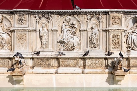 Doves sitting on the Gaia Fountain at the Piazza del Campo in Siena, Italy
