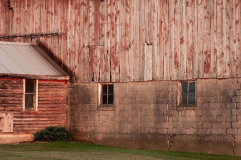 A rustic barn wall with wooden planks and brick foundation in rural setting in Ontario, Canada,