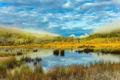Cool cloudy morning in the Rocky Mountains. Patricia Lake among the firs and pines. Water reflects