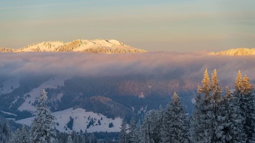 Sunrise in the alps in winter with fresh snow above the clouds near Oberjoch