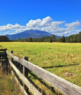 On the horizon the beautiful high mountain is visible. The green grassy rural field fenced with a
