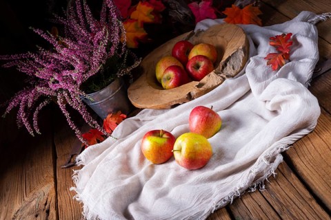Malus sylvestris, der leckere europäische Krabbenapfel