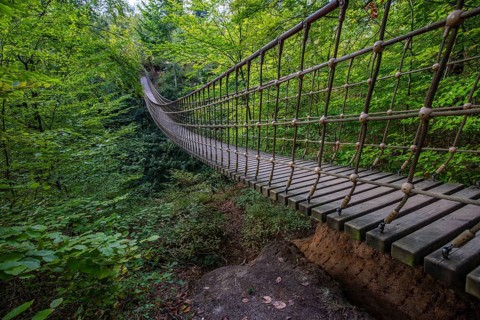 Wooden suspension bridge over a gorge, beautiful nature and trees in the Hunsrück, Germany
