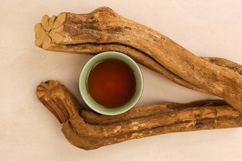 Traditional medicine Ayahuasca. Banisteriopsis caapi wood pieces. Medical natural psychedelics,