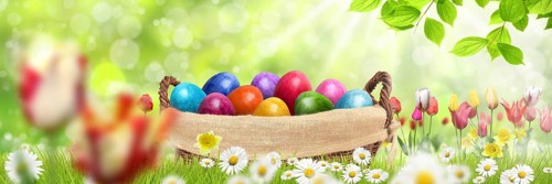 Easter eggs in a basket