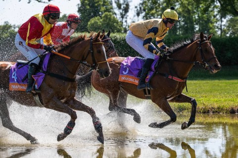 04.06.2023 Wroclaw, Ladies Day WROCLAW, POLAND - JUNE 4, 2023: Racecourse WTWK Partynice.