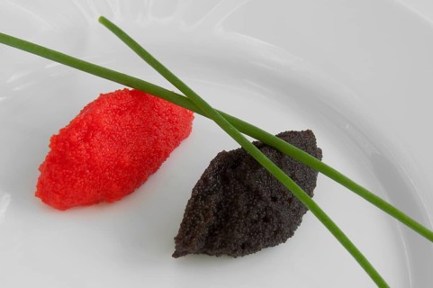 Black and red caviar decorated in dish