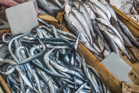 Fish on ice in the market. Greece, Athens, Piraeus