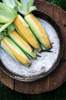 Raw corn in the garden on wooden background