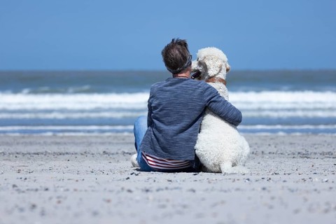 Woman sitting together with her dog, a white poodle, on the beach in the sunshine, hugging him and