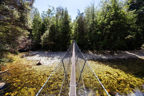 Frenchmans Cap Suspended Bridge in Franklin-Gordon Wild Rivers National Park on a hot summer's day