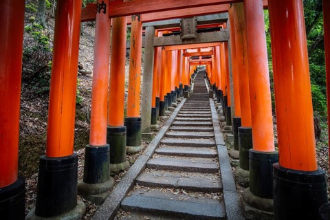 Red Tori Gate at Fushimi Inari Shrine in Kyoto, Japan. One of the largest tourist attractions in