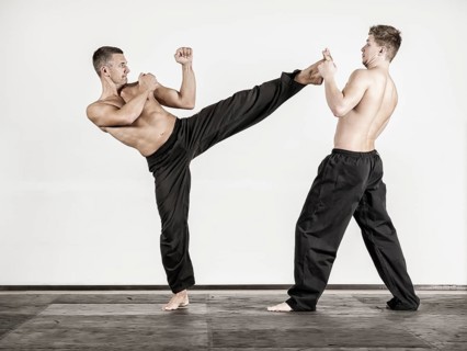 An image of two fighting sports men
