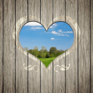 An image of a beautiful wooden heart nature