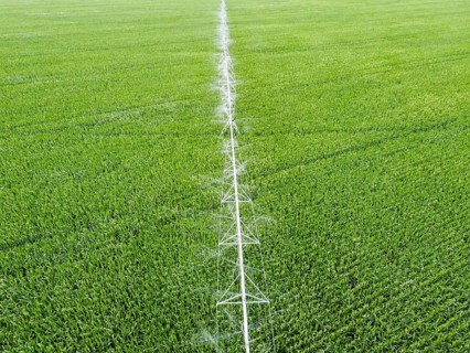 Irrigation system over corn field, top view