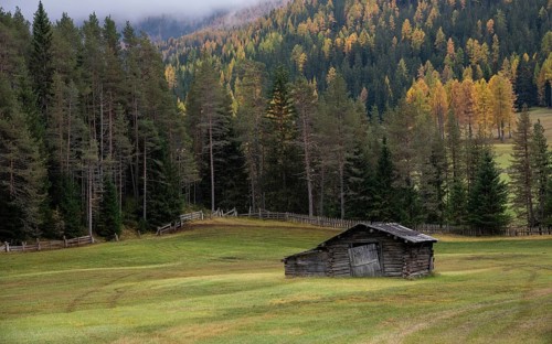 Abandoned wooden farm house in the farmland surrounded by forest trees in autumn. Italian alps,