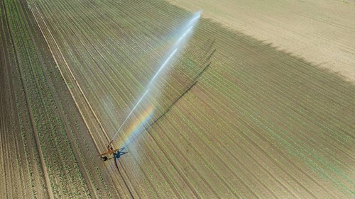Irrigation equipment watering field. Aerial view. Irrigation of a young plants