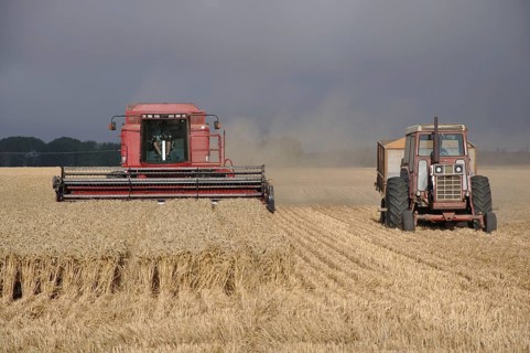 TIMARU, NEW ZEALAND, CIRCA FEBRUARY 2010: Farmers harvest a crop of wheat, South Canterbury, New