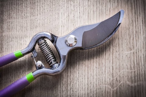 Sharp metal pruning shears on wooden board agriculture concept
