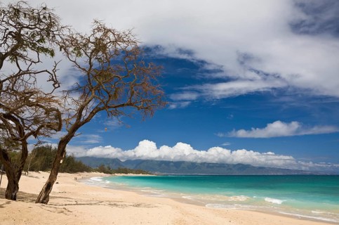 Beach at Kanaha Beach Park, Maui, Hawaii, USA