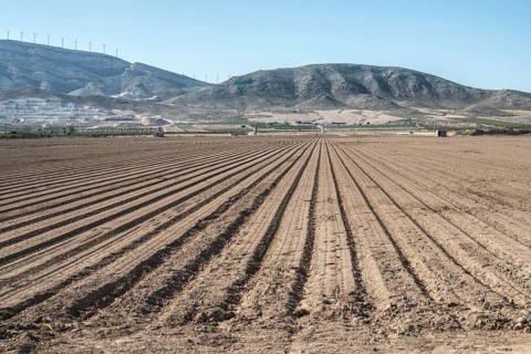 Plowed land. Sunny day