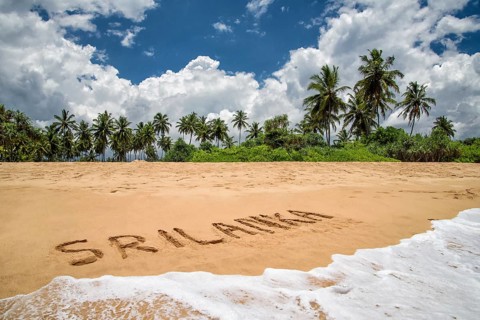 Palm beach