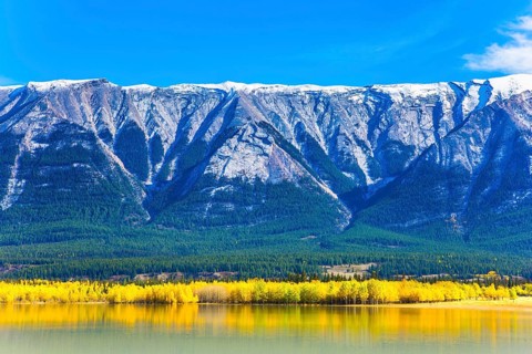 In the famous artificial Abraham lake reflects the golden foliage of aspen and birches. Glowing