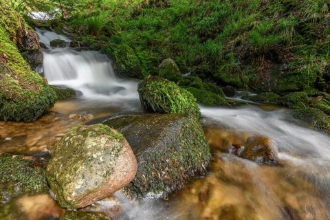 Mountain torrent in the Vosges. Charlemagne waterfall on the Vologne