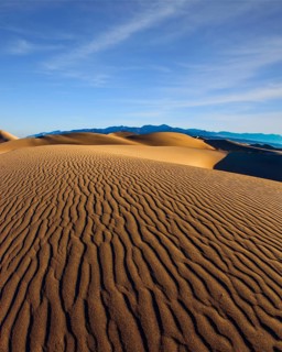 The gentle slopes of the sand dunes are rippled by the wind. USA. Mesquite Flat Sand Dunes is a