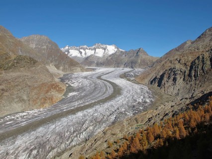 Autumn Scenery At The Aletsch Glacier