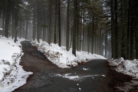 Winter forest landscape with mountain covered in snow and empty frozen road. Troodos mountains in