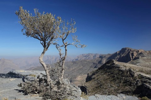 Wadi Bani Awf, Mountains, Oman