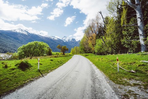 A rural road leads through a green landscape with snow-capped mountains in the background, Cattle