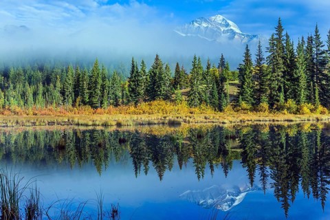 Wonderful landscape. The blue water of the Patricia Lake reflects the snowy peak of the Pyramid